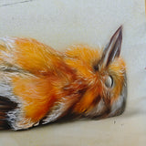 Vogel trocken