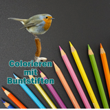 Motiv colorieren Buntstifte  06.10.25