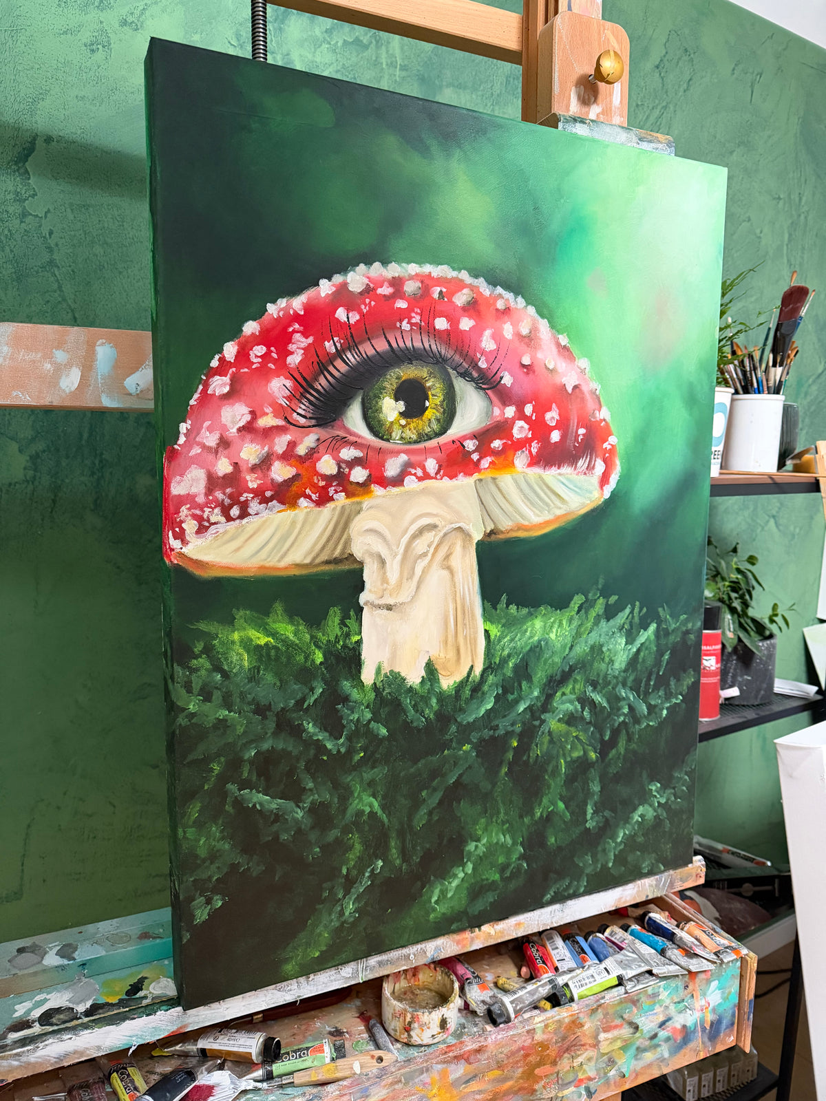 Auge mit Pilz