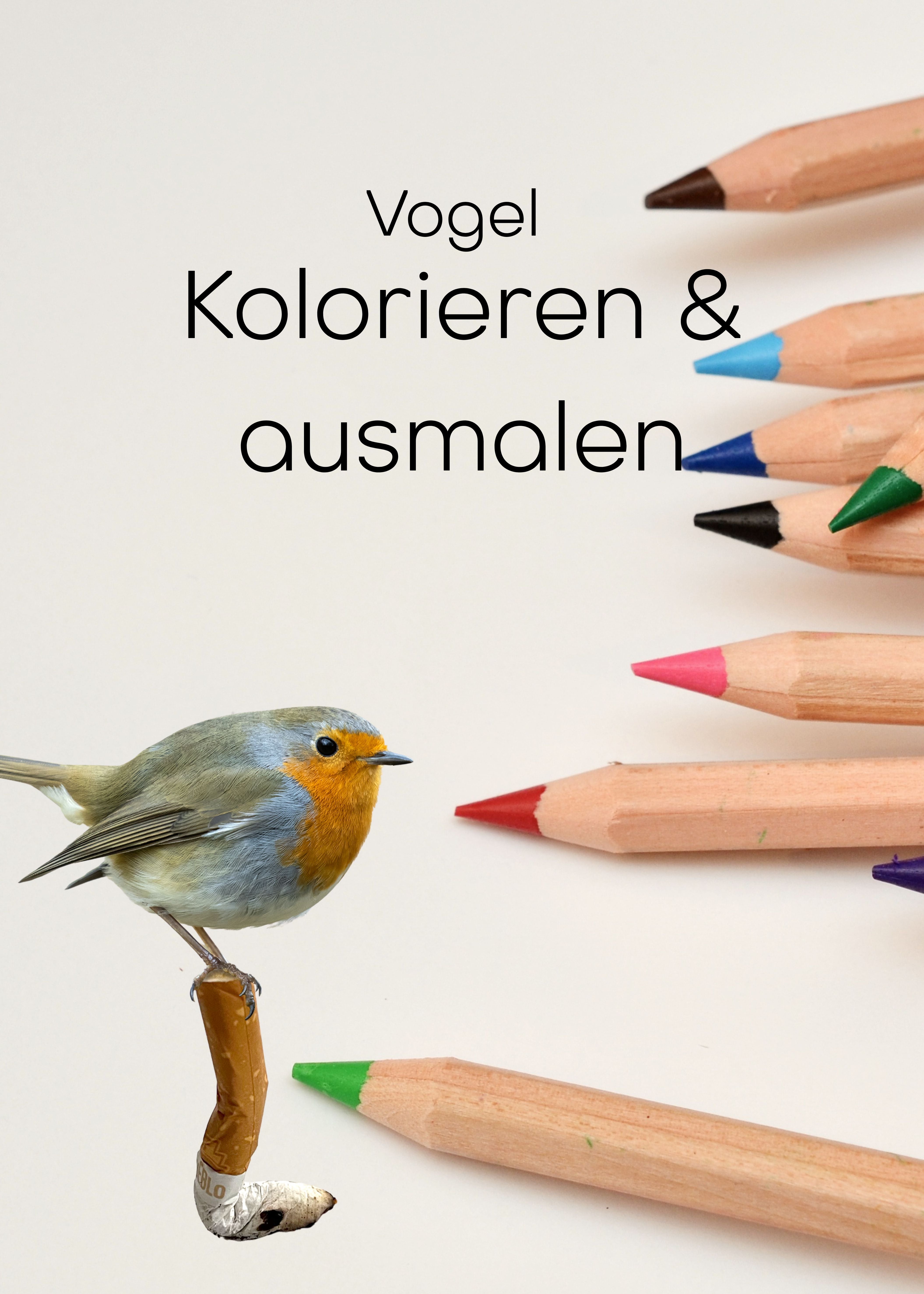 Motiv colorieren Buntstifte  06.10.25