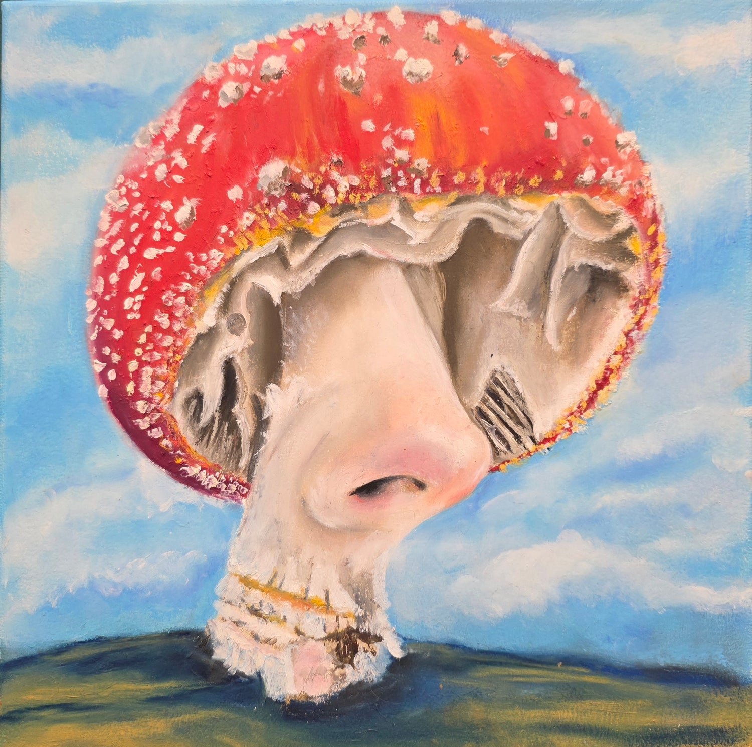 Pilz ohen Augen