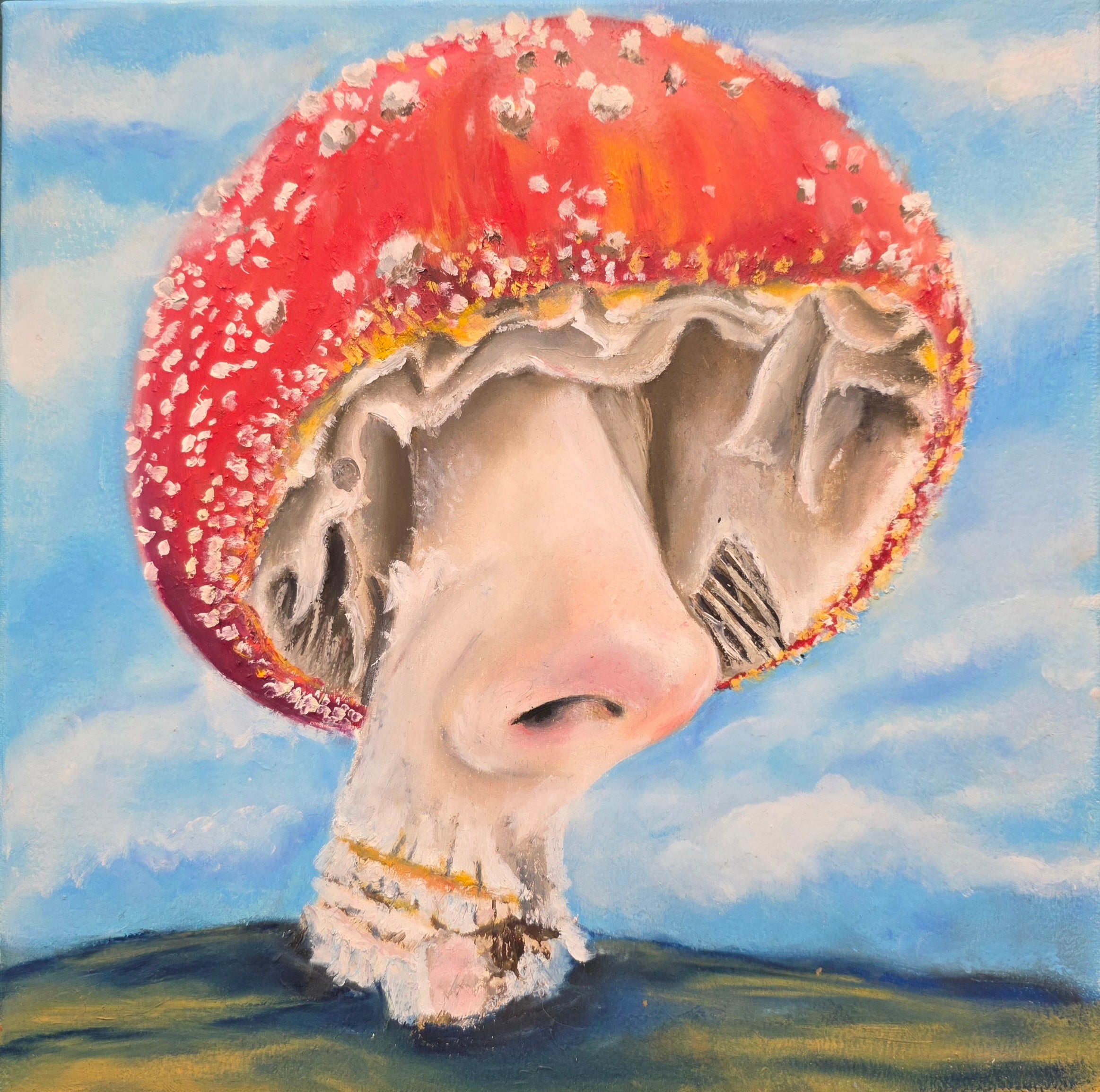 Pilz ohen Augen